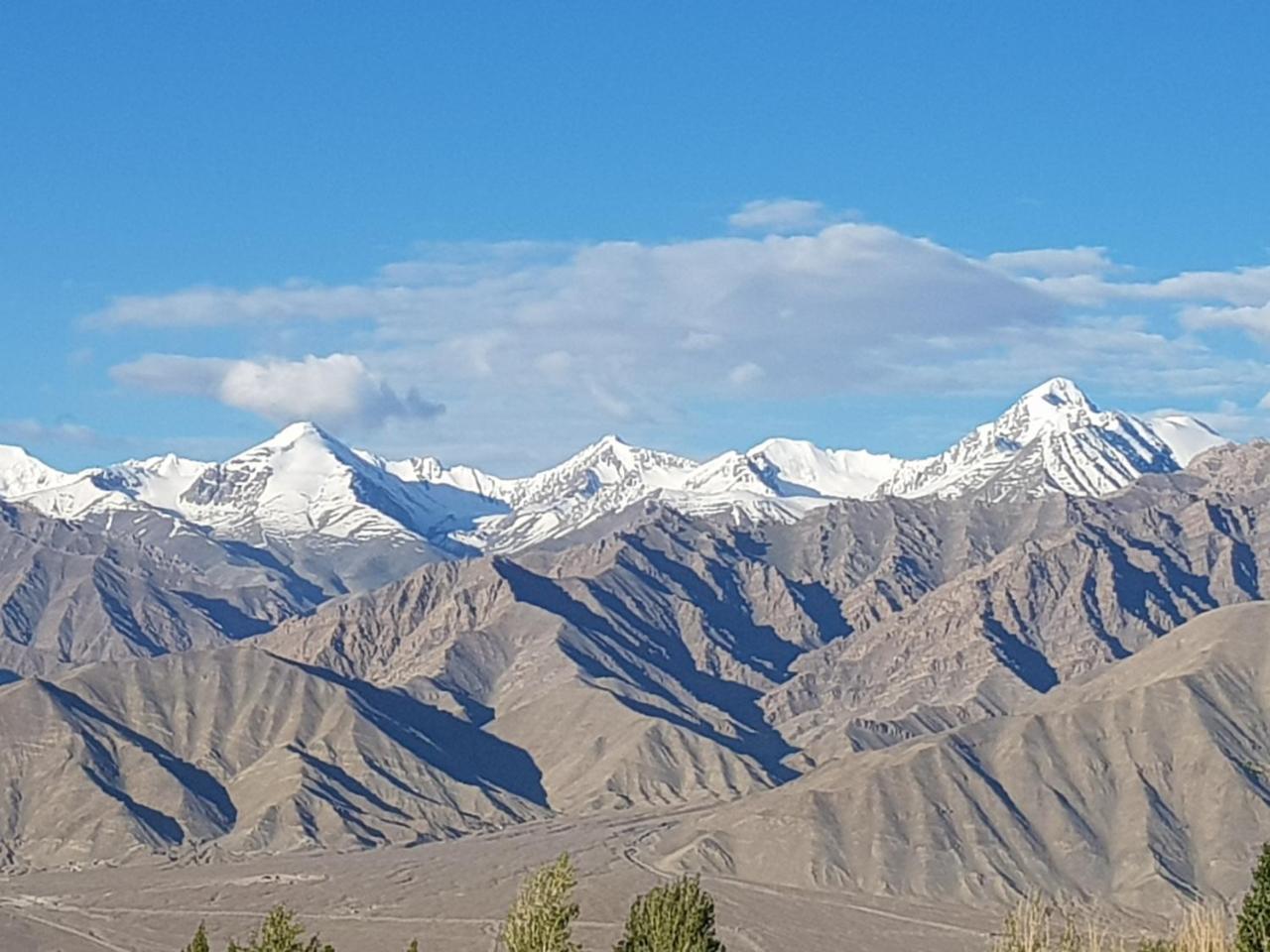 Hotel Ladakh Himalayan Retreat Leh Zewnętrze zdjęcie